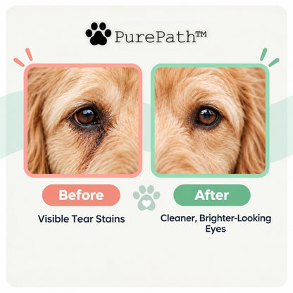 PurePath™ Finger Wipes