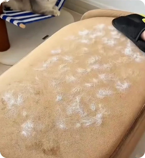 Before using the LoraCart glove
