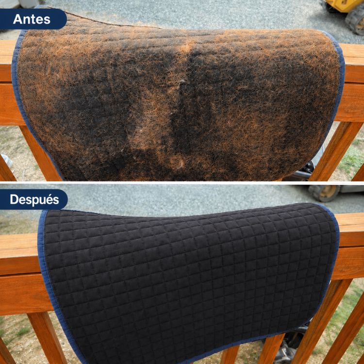 Guante PurePath™ (horse)