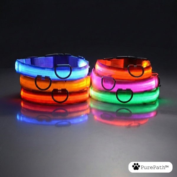 LED Pet Collar - PurePath™ - PurePath™