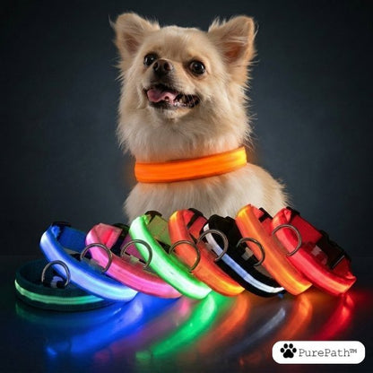 LED Pet Collar - PurePath™ - PurePath™
