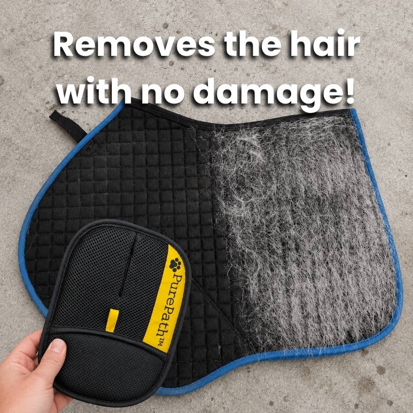 PurePath™ Horse Hair Glove
