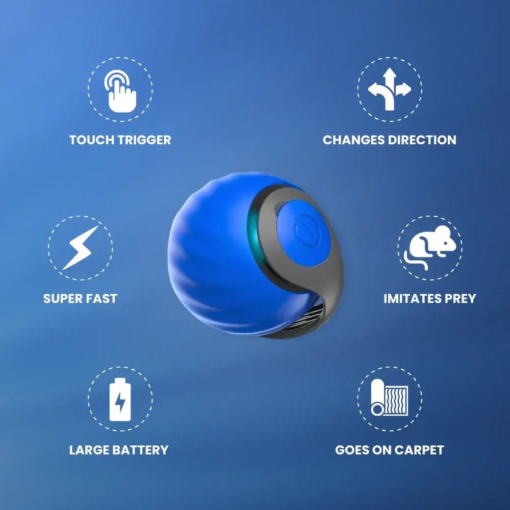 Speedy Tail 2.0 - PurePath™ Toys - PurePath™