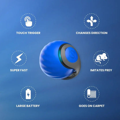 Speedy Tail 2.0 - PurePath™ Toys - PurePath™